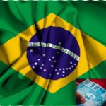 base de datos de empresas de brasil